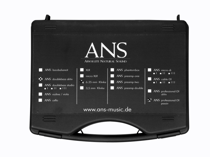 ANS doublebass III aktiv Klinke im Koffer